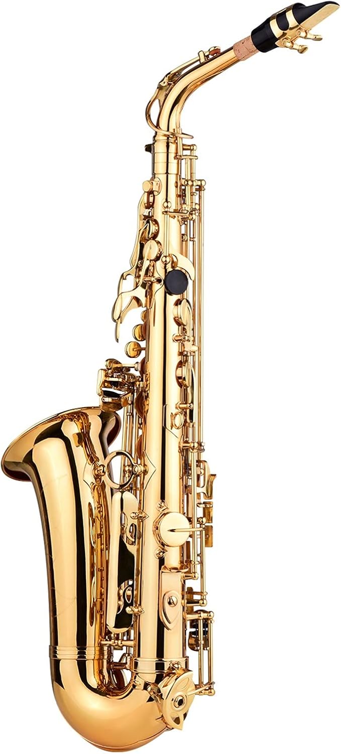 E Flat Alto Saxophone EB Key Brass Gold Lacquer with Case Cleaning Brush Cloth Gloves Straps Saxophone Lanyard Student Saxophone