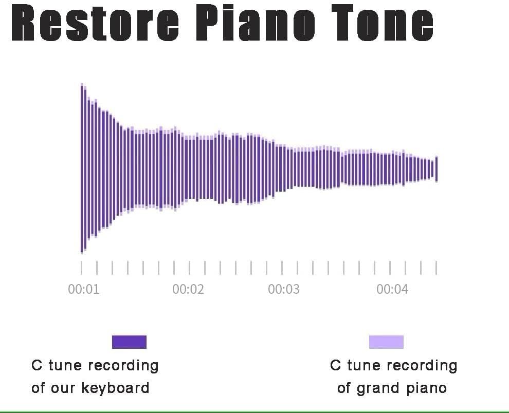 88 Full-Size Portable Keyboard Piano, Semi-Weighted Keys, Bluetooth 5.0, MIDI, Built-in Speakers, Sustain Pedal & Carrying Bag (Black)