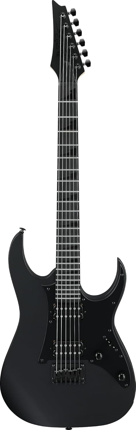 Ibanez GRGR131EX RG Gio Electric Guitar - Black Flat Bundle with Gig Bag, Tuner, Strap, Cable, Austin Bazaar Instructional DVD, and Polishing Cloth