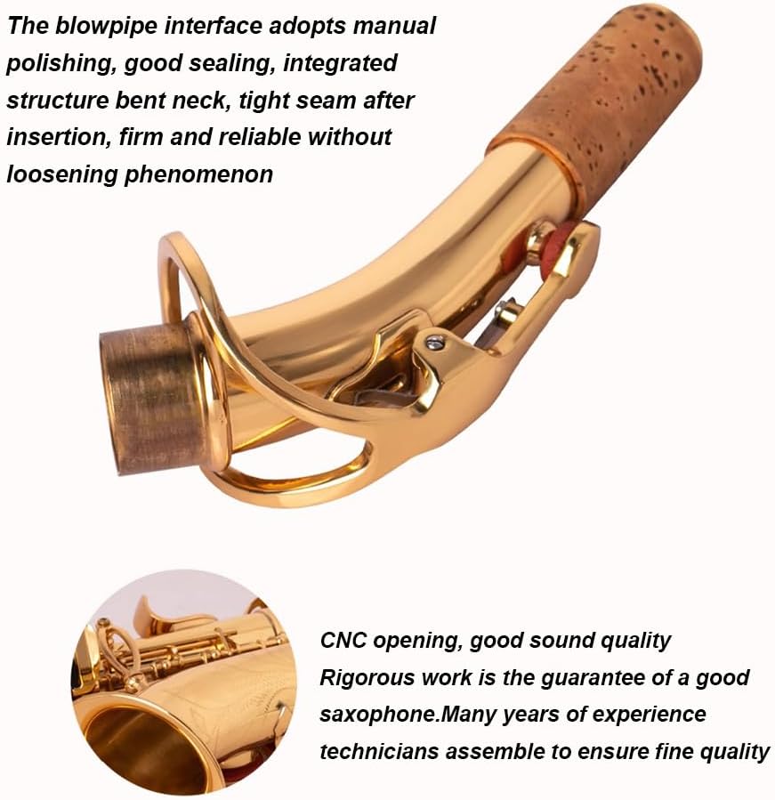 Saxophone, Beginners E-Flat, Alto Saxophone, Beginner/Professional/Performance/Examination, Including Instrument Storage Bag