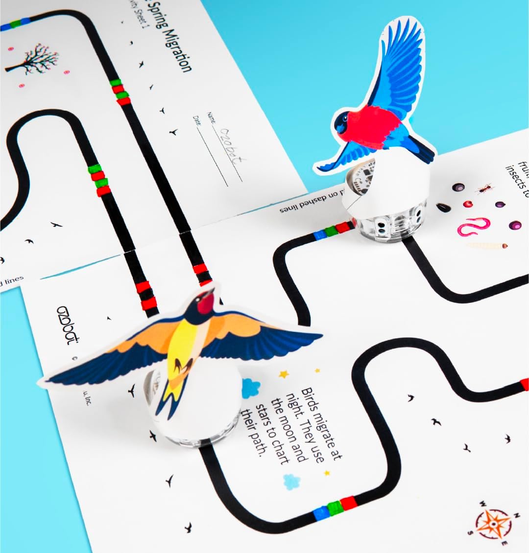 Ozobot Evo Classroom Kit (12 Bots): Interactive Coding Robots for Students, STEAM Learning Tools for Schools, Includes Charging Station, Storage Case, Markers, and Comprehensive Coding Curriculum