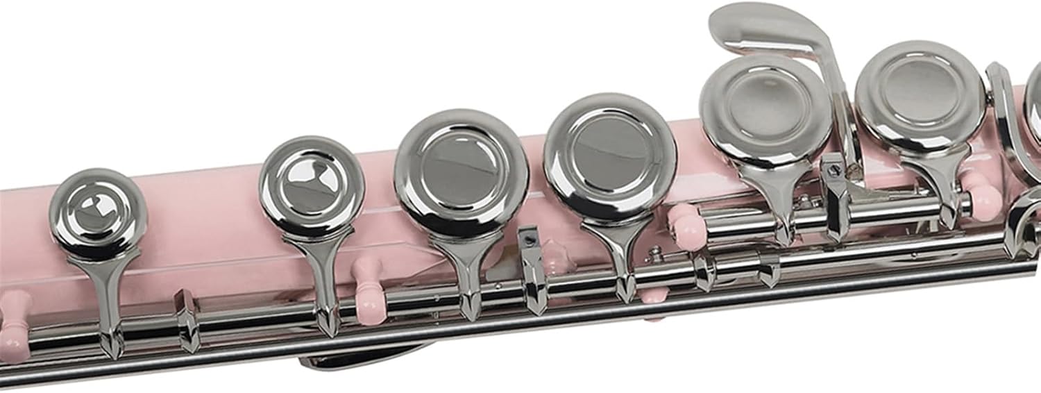 Flute Pink 16 Holes Flute with E Key Woodwind Instrument Closed Hole C Tone Nickel Silver Key Cupronickel Tube with Case Flutes Musical Instruments