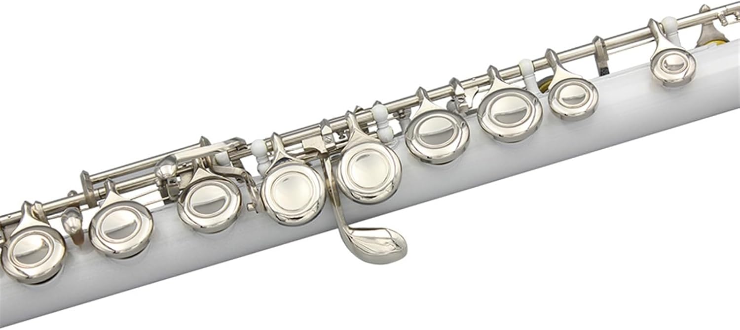Flute 16 Closed Open Holes C Key Flute with Case Clothfor Student Beginners Woodwind Instrument Flutes Musical Instruments