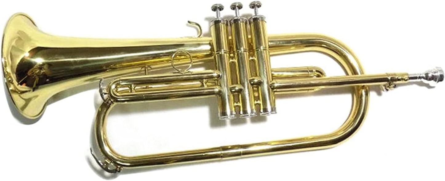 FLFL Student Trumpet Bb Thick Tube Cornet with Shell Mouthpiece Yellow Brass Thick Tube Cornet Musical Instrument