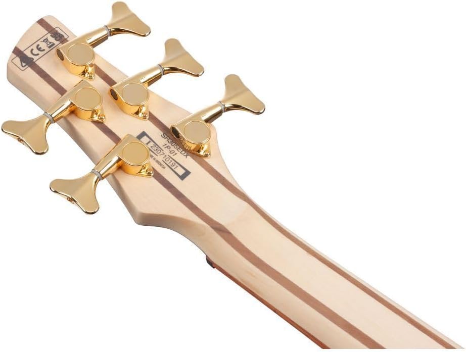 Ibanez SR305EDX 5-string Bass Guitar - Cosmic Blue Frozen Matte