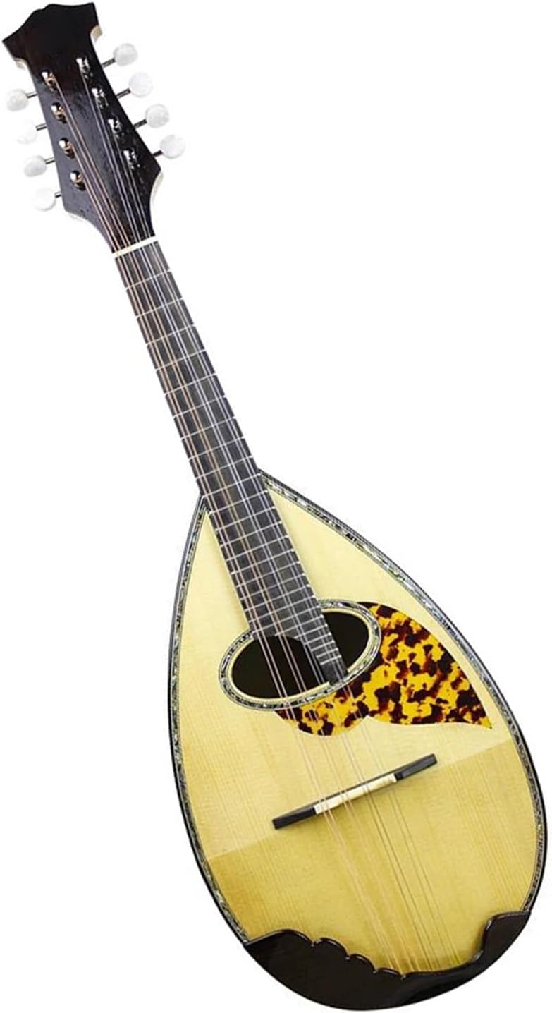 Ebony Mandolin String Instrument Professional Performance Beginner Mandolin String Instrument