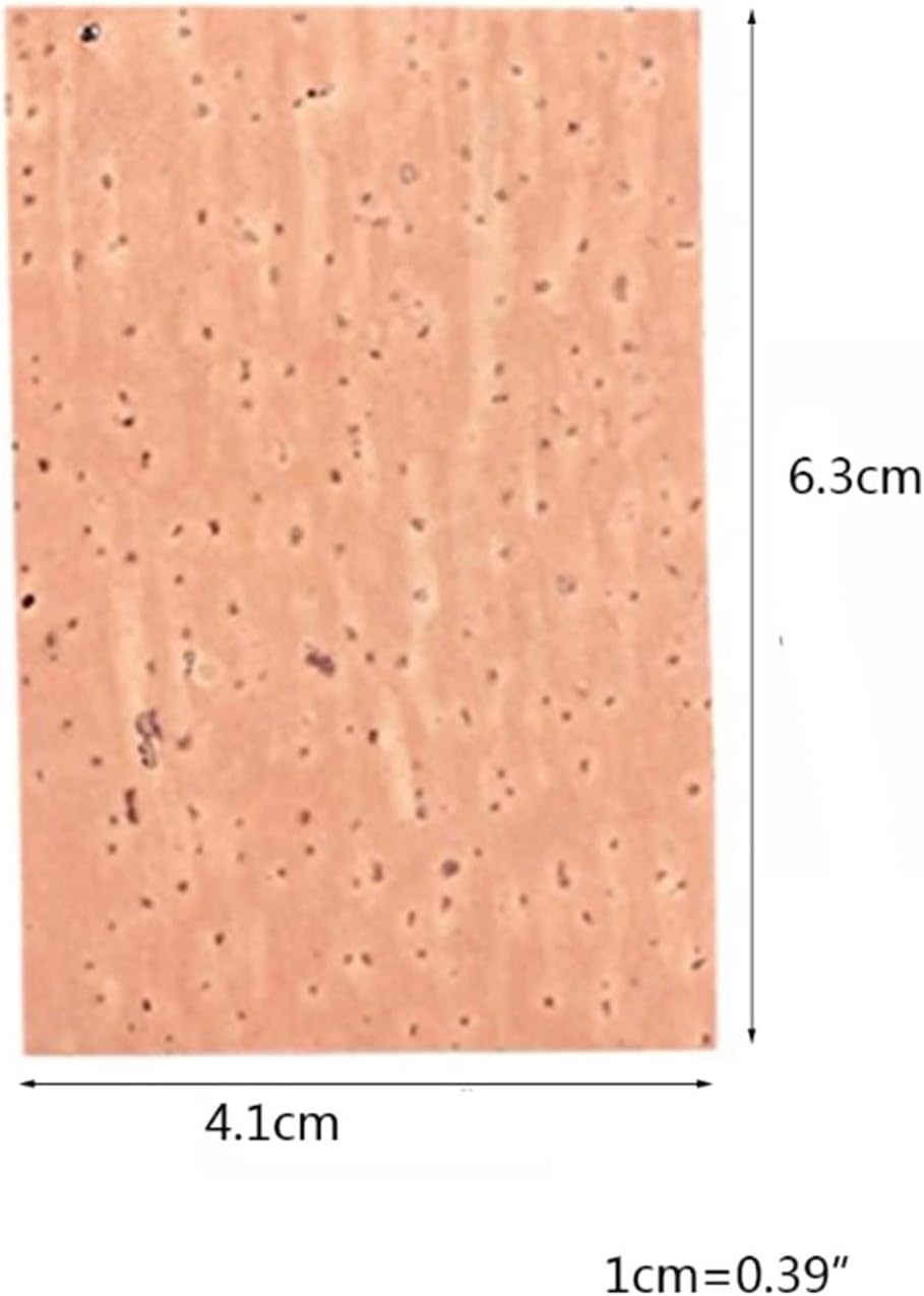 Saxophone Parts 50PCS/Set Saxophone Cork Neck Cork Instrument Accessories Replacement Kits Woodwind Instrument Pads