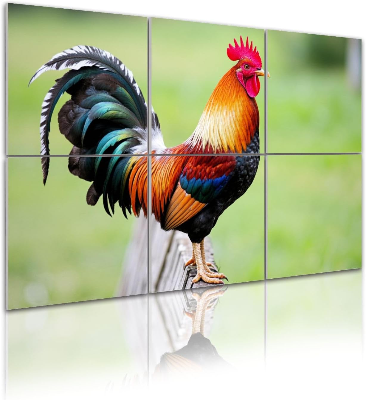6 Pack Art Acoustic Panels Self Adhesive Vibrant Colorful Rooster Red Comb Brilliant Plumage Standing Wooden Decorative Soundproof Wall Panels Sound Absorbing Panel 48