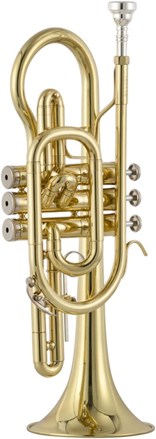 Student Trumpet Trumpet Cornet Musical Instrument Professional Brass Tube Body B-Flat Lacquered Gold Cornet
