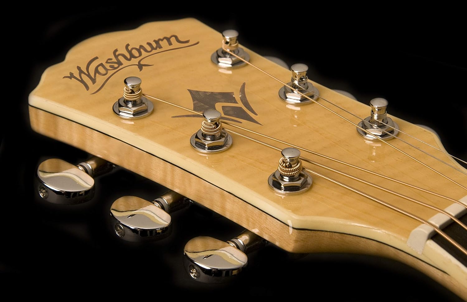 Washburn Festival EA20 Acoustic Electric Guitar (EA20-A)