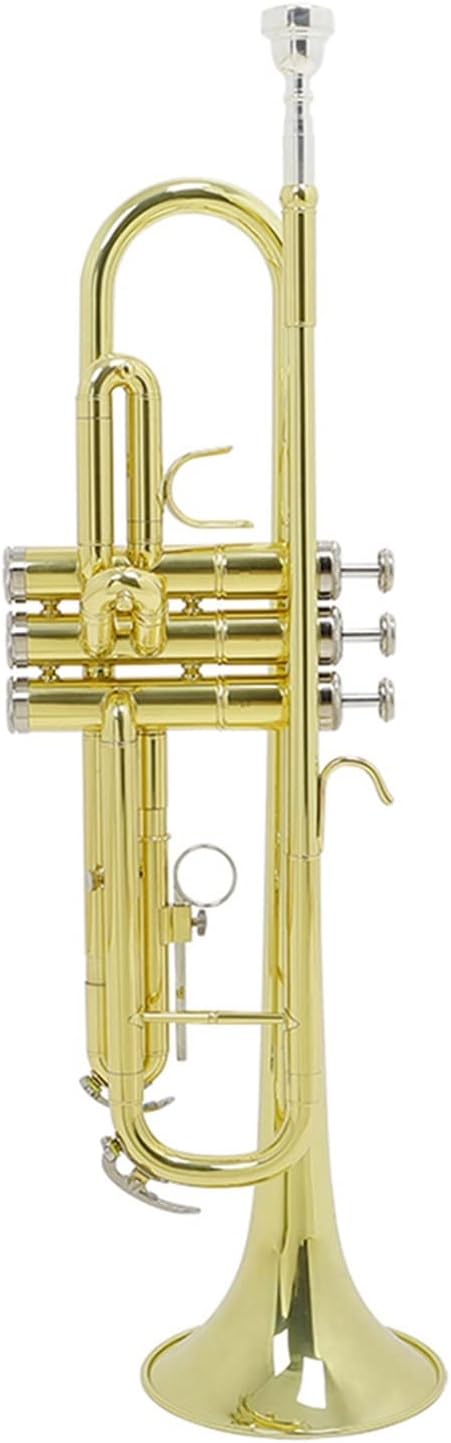 TSTS Trumpet Bb B Flat Brass Golden Durable Musical Instrument with Mouthpiece Gloves Foam Case Trumpet Instrument Professional Trumpet