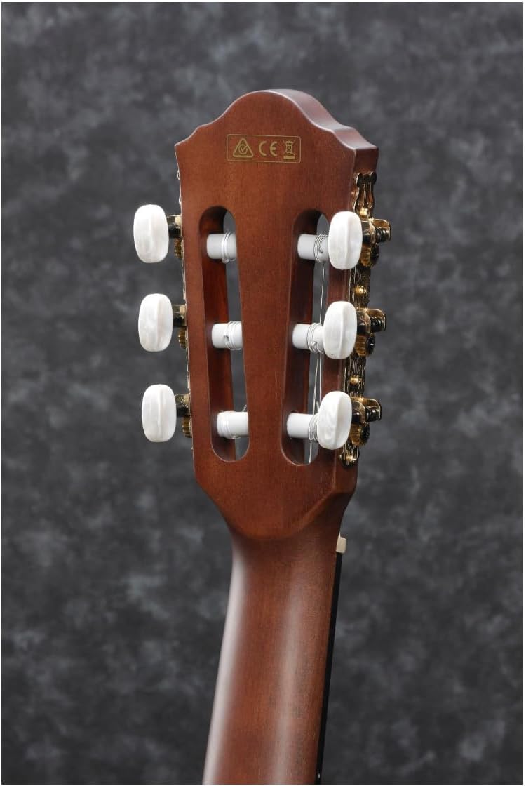 Ibanez AEG50N Acoustic-Electric Guitar - Black High Gloss