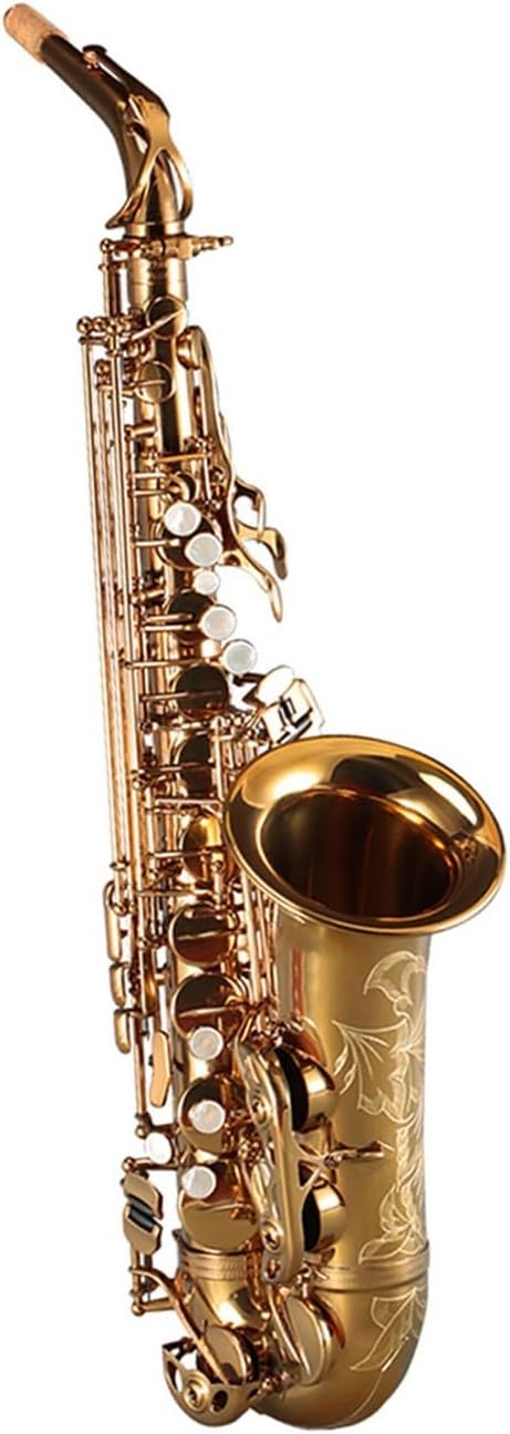 Professional Saxophone Instrument For Beginners Alto Saxophone In E Flat Beginner Professional Woodwind Instrument