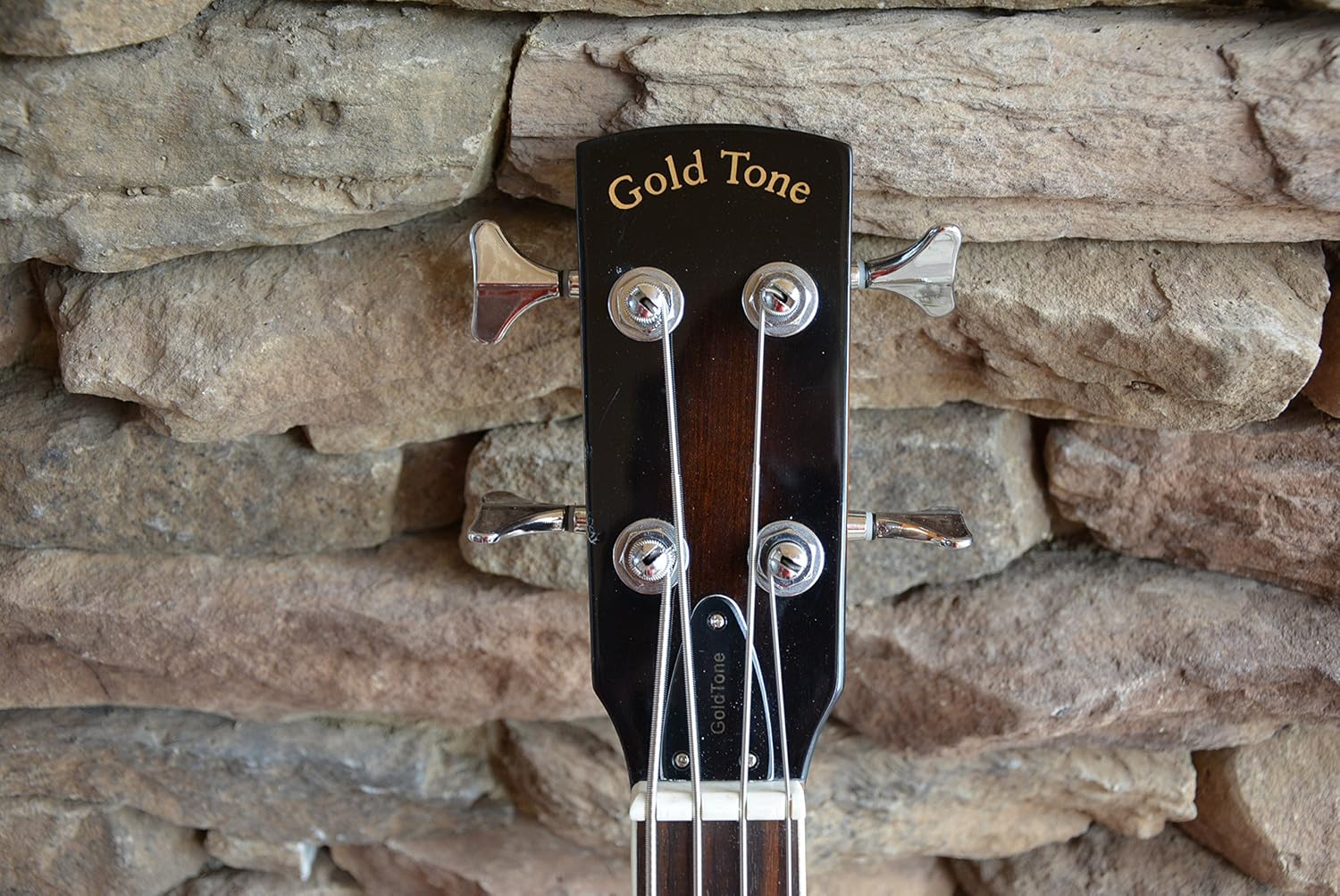 Paul Beard Bass Guitar w/Hard Case