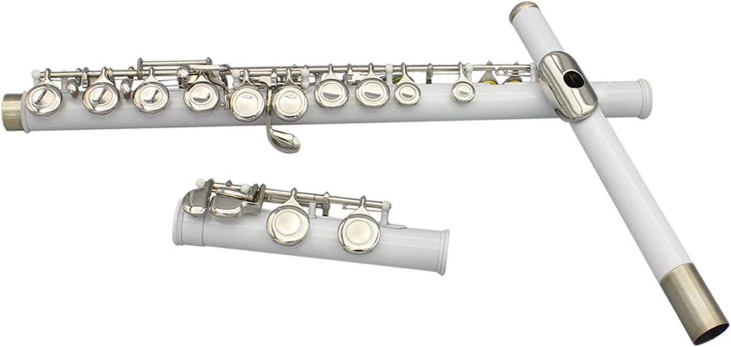 Flute White 16 Holes C Tone Flute with E Key Woodwind Instrument Closed Key Cupronickel Tube Flute with Box Flutes Musical Instruments