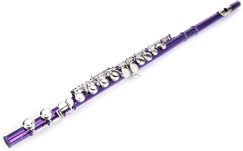 Nickel Plated Beginner Flute Concert Band with E Key, Case, Cleaning Kit, Kids Musical Instrument (Purple)