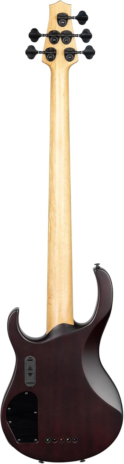 H. Jimenez 5 String Satin Spalt Burst Bass Guitar With Deluxe Padded Gig Bag (LBS5-SB)