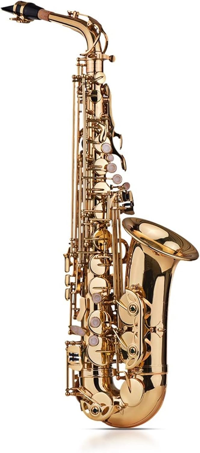 KESHUO 802 Key Type Saxophone EB Alto Tone Brass Lacquered Gold Silver with Carrying Case Cleaning Kit Woodwind Instrument Brass Sax Beginners Kit (Color : Gold)