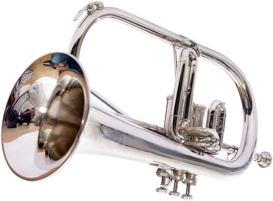 Flugelhorn Pro Professional brass chrome plated SCX985