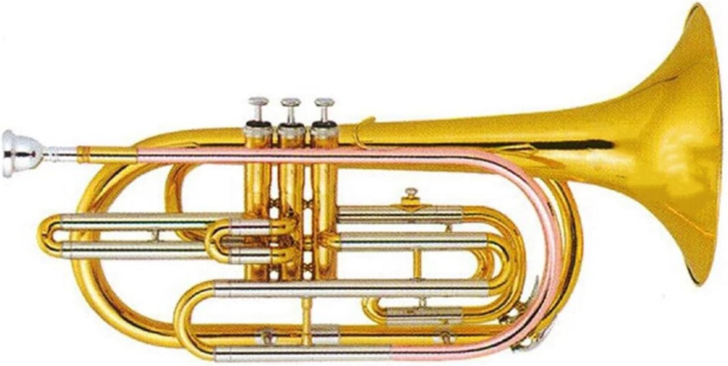 Adult Trombone Instrument Gold Lacquer Stainless Steel Pistons Brass Leadpipes Tuning Bb Trombone