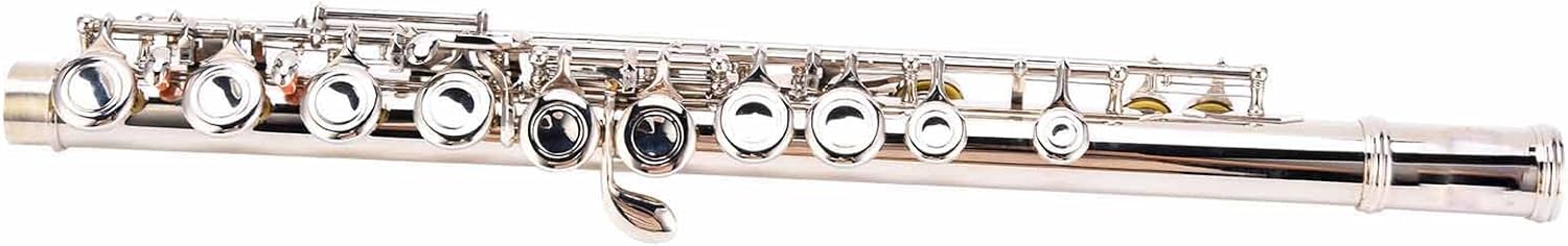 Flute, C Tone Flutes Good Air Tightness Strong Penetrating Power Wind Instrument with Mounting Tools for Symphony Performances
