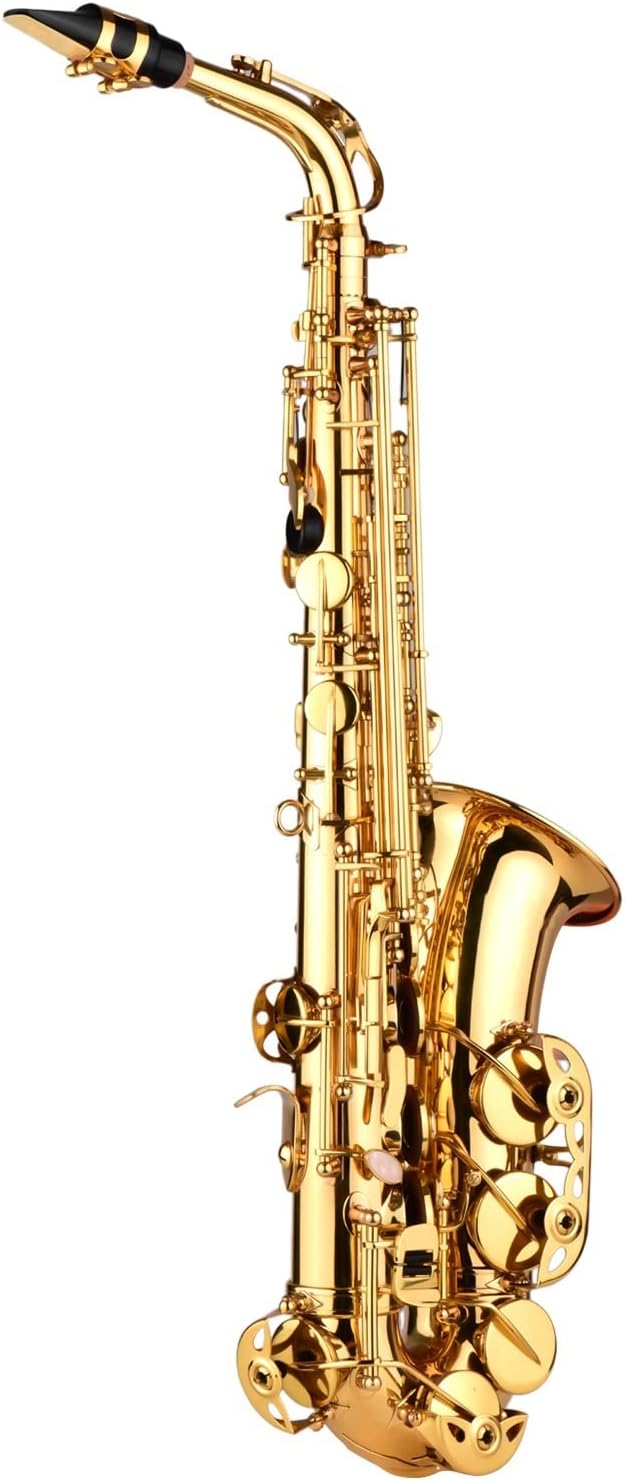EB Alto Saxophone Brass Lacquered Alto Wind Instrument with Carry Case Gloves Straps