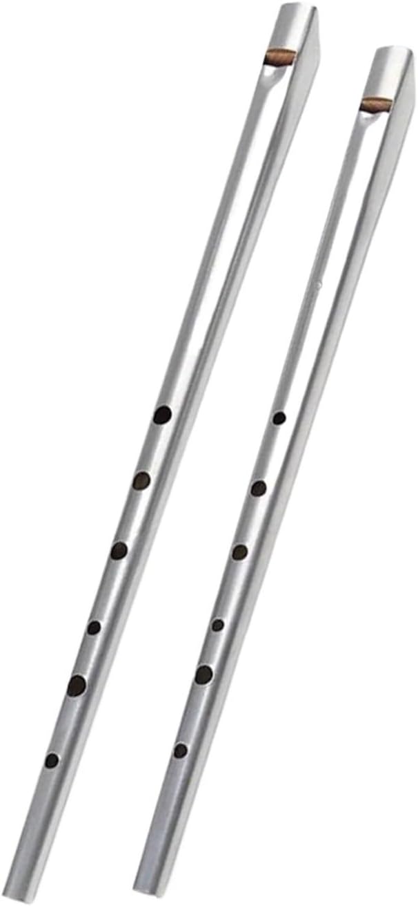 Flute Woodwind Instrument CD(D)