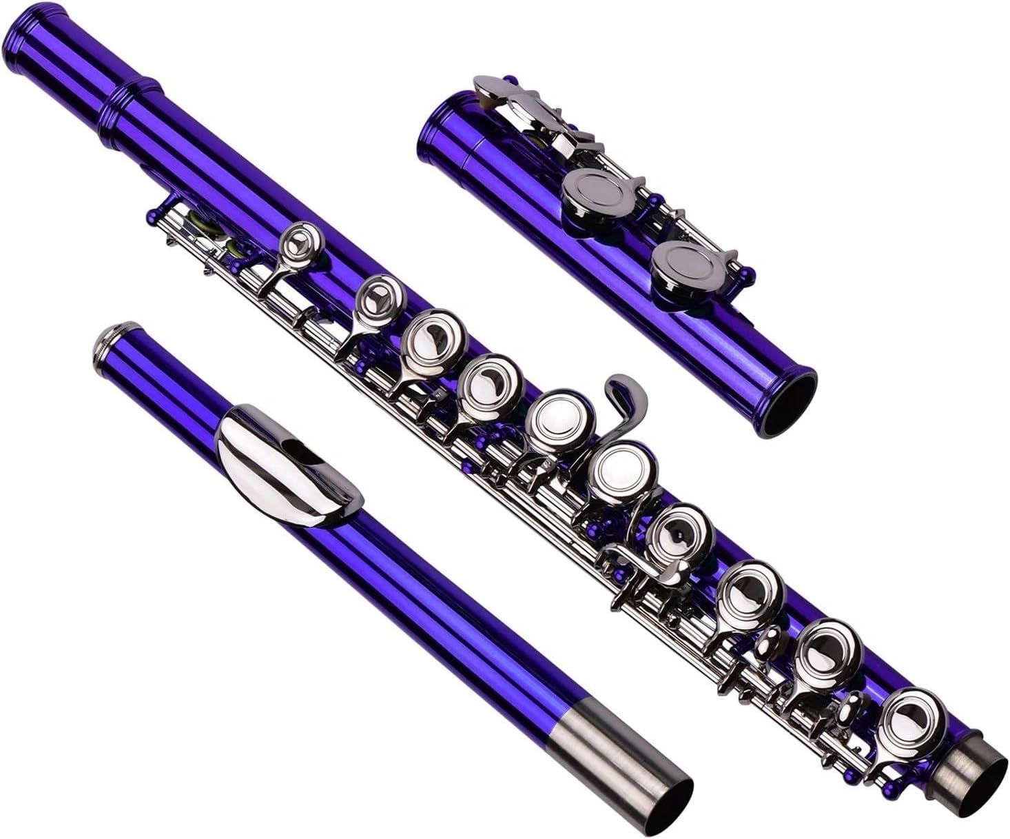 Closed Hole C Flute 16 Keys Nickel-Plated Brass Wind Instrument Carrying Case