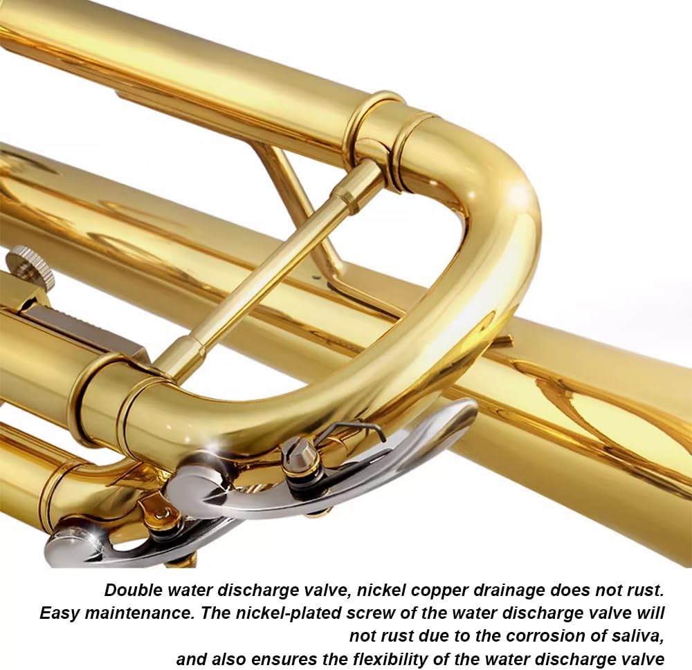 Lacquer Gold B-Flat Trumpet, Brass Beginner Wind Instruments for Adults, Western Instruments, Festival Band Celebration Instruments