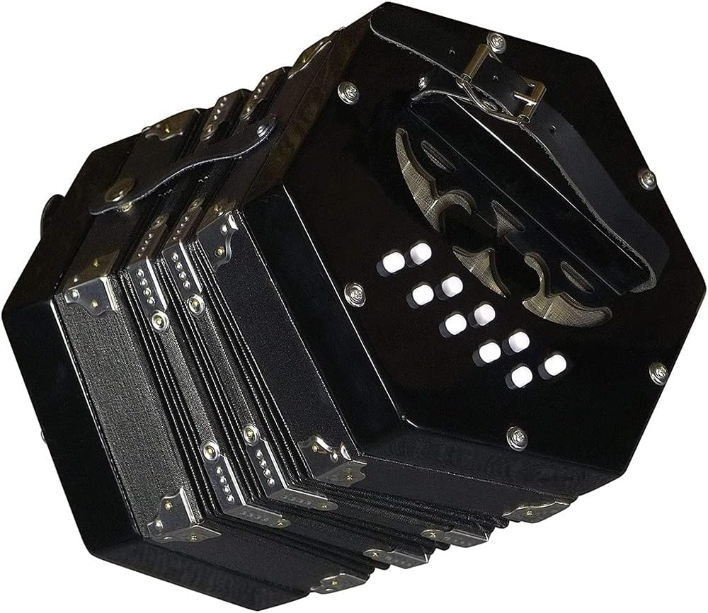 Concertina Accordion 20-Button, for Adults Musical Instrument, Easy to Learn Music Accordion Instrument