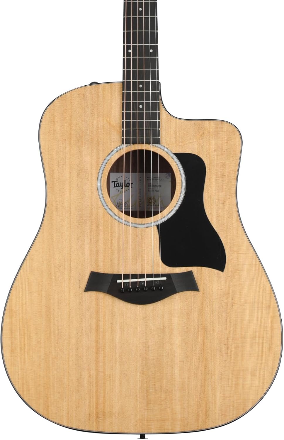 Taylor 210ce Plus, Acoustic Guitar