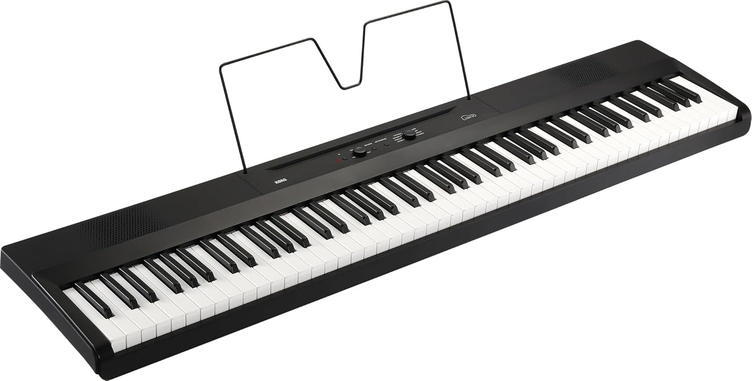 Korg L1 Liano 88-Key Digital Piano - Black Bundle with Furniture Bench, Instructional Book, Austin Bazaar Instructional DVD, and Polishing Cloth
