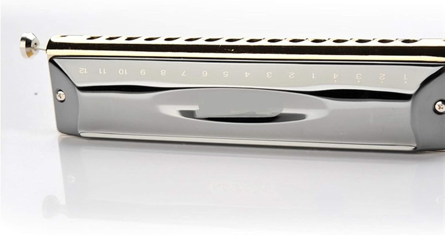 SUOFEILAIMU Professional 16 Holes 64 Tone Chromatic Harmonica Mouth Organ Blues Harp Music Instrumentos Key C Musical Instruments (Color : Silver ABS Comb)