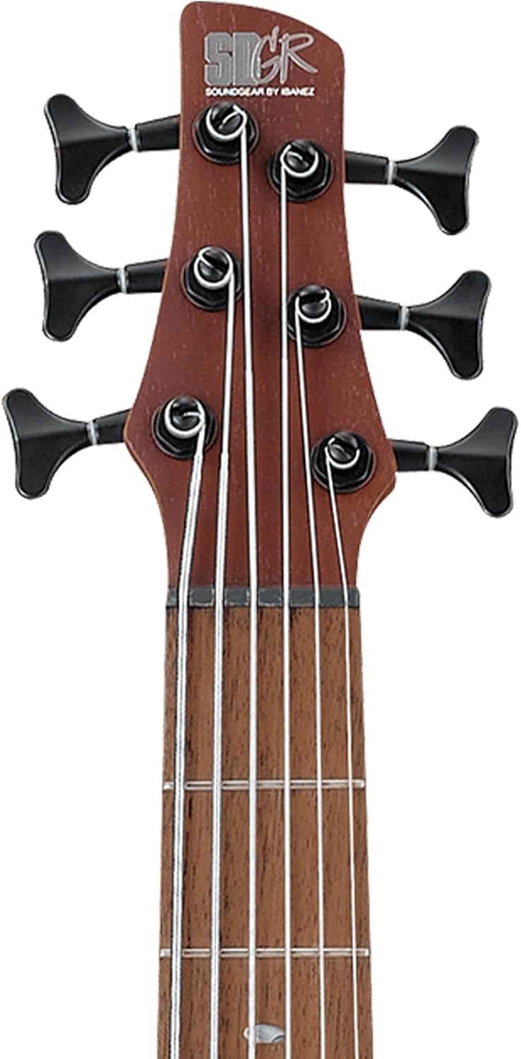 Ibanez SR506E SR Standard 6-String Bass Guitar - Brown Mahogany Bundle with Gig Bag, Tuner, Cable, Strap, Austin Bazaar Instructional DVD, and Polishing Cloth