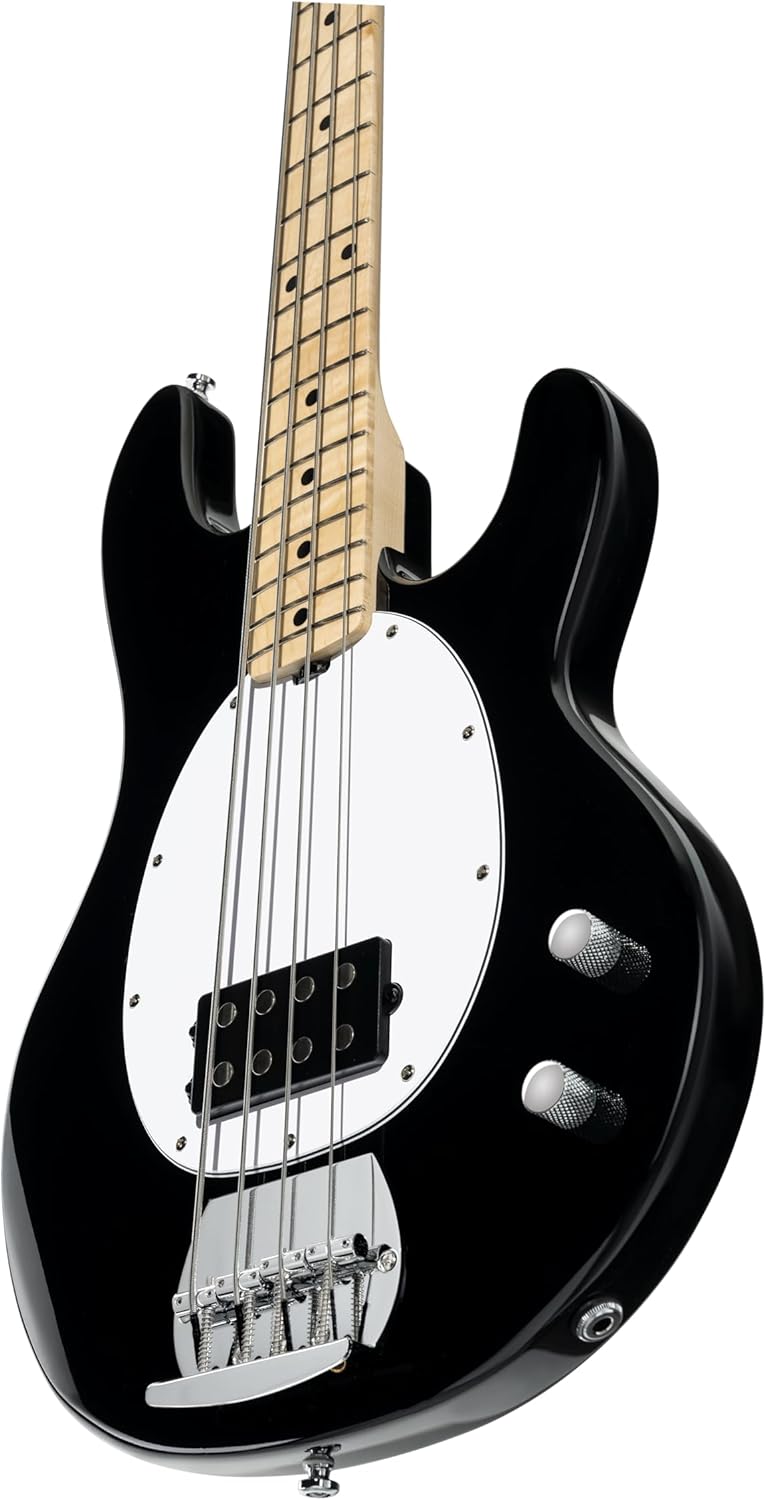 Intro Series StingRay