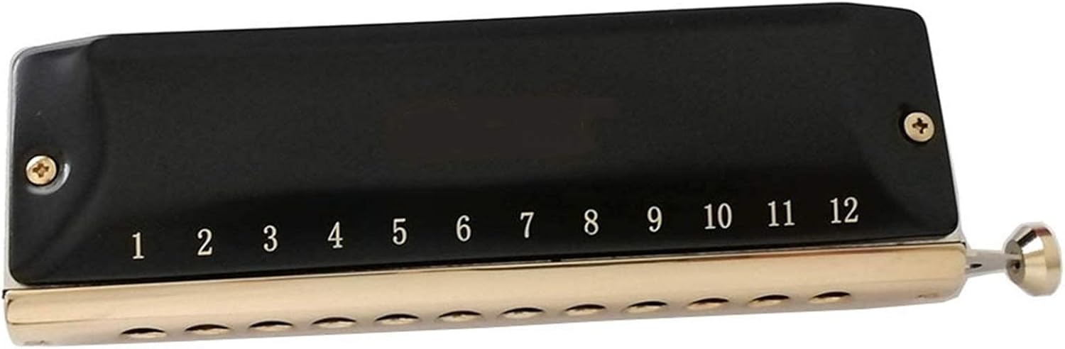 SUOFEILAIMU Chromatic Harmonica 12 16 Holes Mouth Organ Instrumentos Key C Phosphor Bronze Reeds Professional Musical Instruments (Color : QM Y1248BK1)