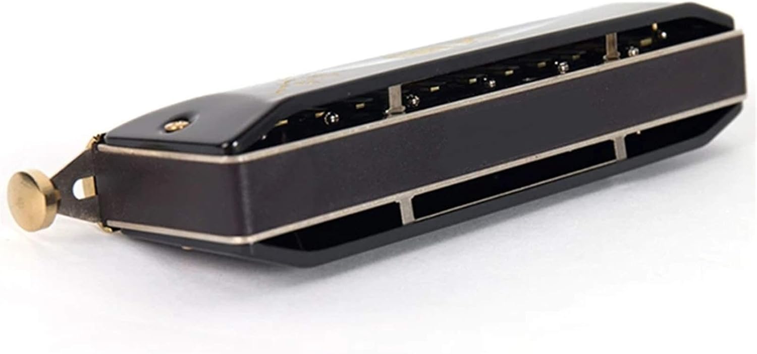 SUOFEILAIMU Chromatic Harmonica 12 16 Holes Mouth Organ Instrumentos Key C Phosphor Bronze Reeds Professional Musical Instruments (Color : QM Y1248BK1)