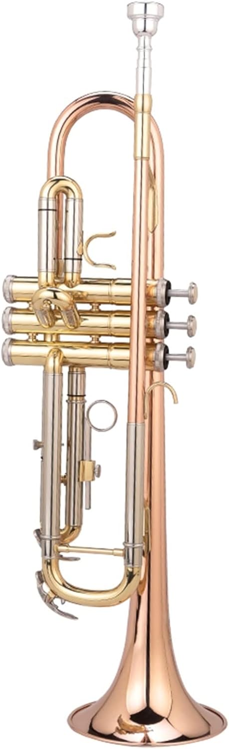 TSTS Wind Instruments Phosphor Brass Band Plays The Beginners 7C Mouth Trumpet Instruments in B Flat Box Professional Trumpet