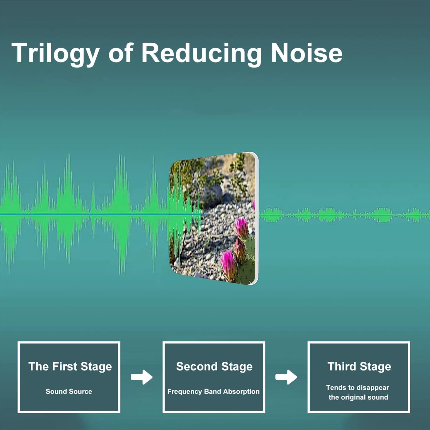 Art Acoustic Panels Self Adhesive Selective Focus Blooming Beavertail Cactus Desert 9 Packs Decorative Soundproof Wall Panels Large Sound Absorbing Panels for Home Office 60