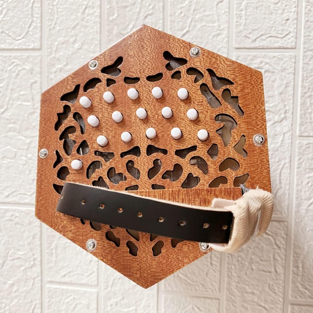 30 Buttons Accordion Concertina, Entry Level Keyboard Instrument, Fascinating Softer Sound, for Children Friends, with Carry Bag