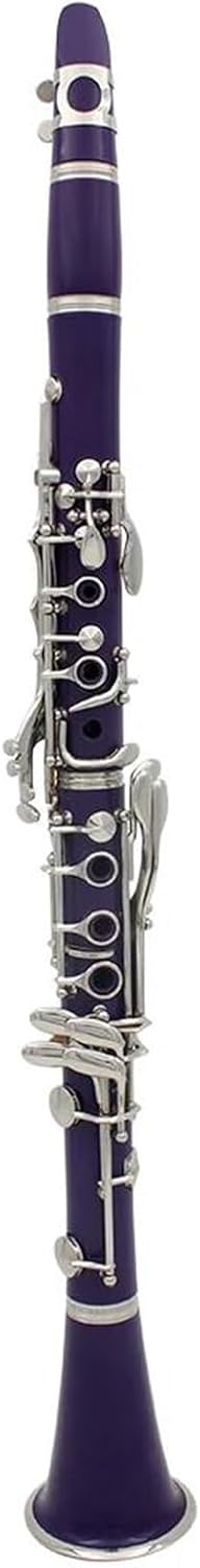 Clarinet Musical Instruments 17 Keys Bb Clarinet 6 Rings Purple Clarinetto Portable Bakelite Clarinet With Accessory Woodwind Instruments