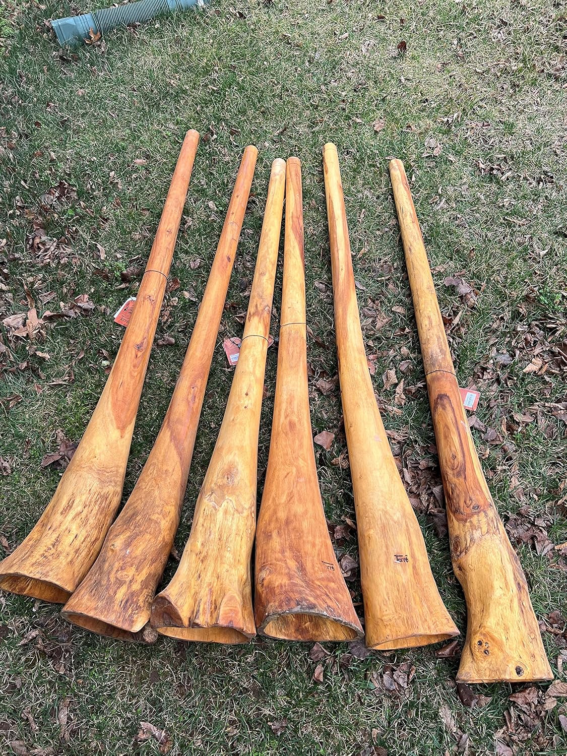 Handmade Didgeridoo Root Eucalyptus 59