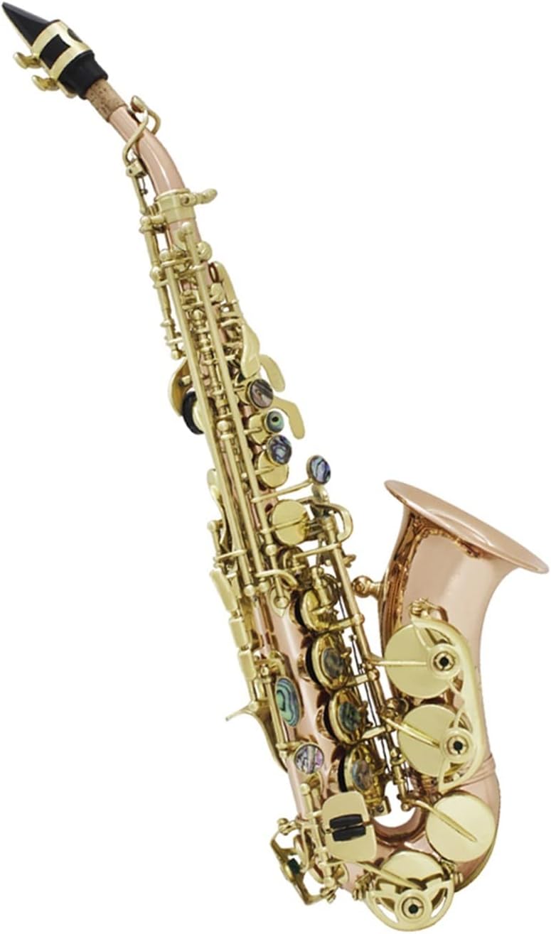 TSTS Saxophone Abalone Shell Buttons Mouthpiece Reeds Wind Instrument Accessories Brass Sax Full Kit