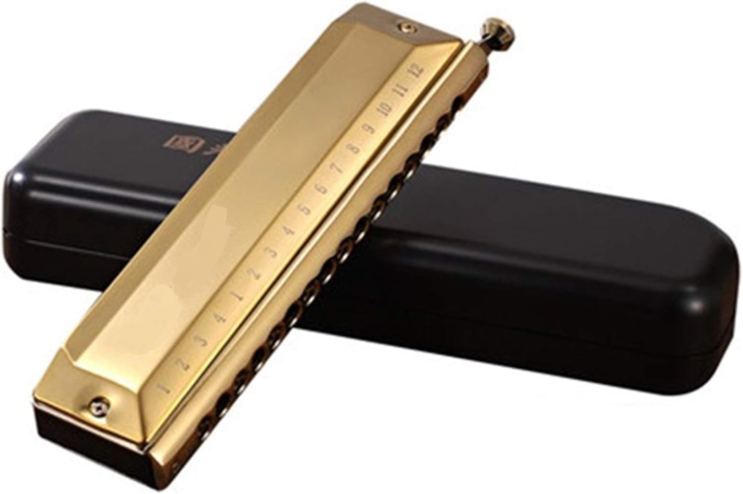 Harmonica Chromatic Harmonica 12 Holes Harp Mouth Organ Key C ABS Comb Phosphor Bronze Reeds Professional Musical Instruments (Color : Golden GH1664)