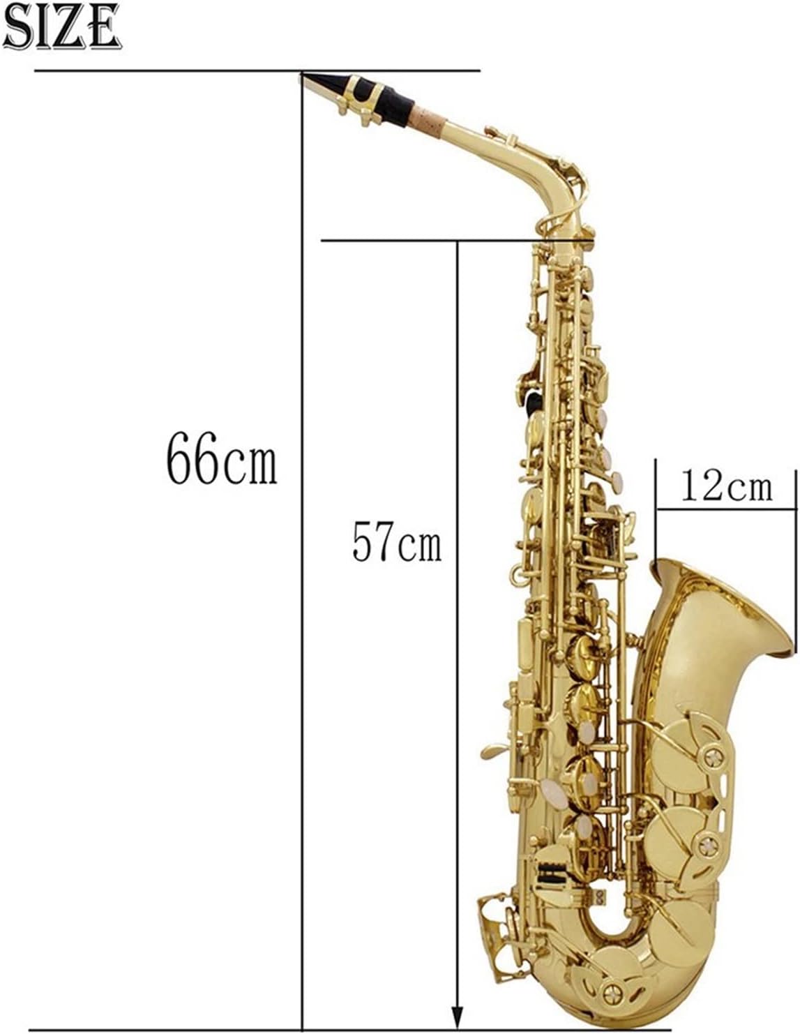 Sax Beginners Kit Alto Saxophone EB Tune Gold Lacquer Silver Lacquer Sax Brass Body Woodwind Instrument with Leather Case Reed Wind Instrument (Color : Golden Sax)