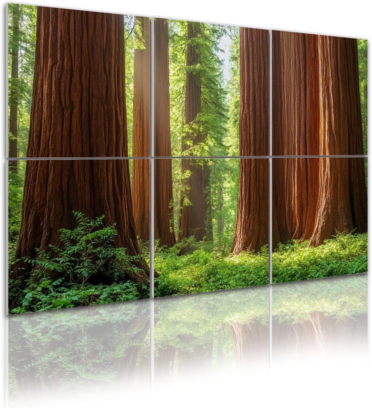 Art Acoustic Panels Redwood National Forest 6 Pack Decorative Sound Absorbing Wall Panels 72x48