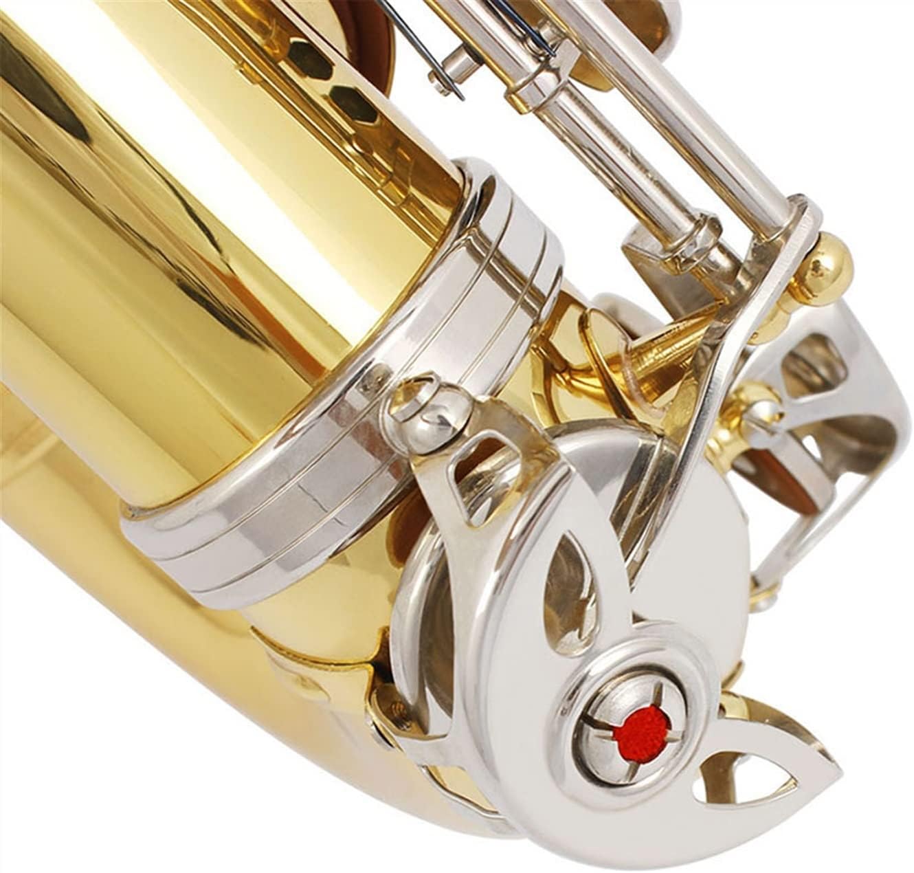 KESHUO EB Alto Saxophone Brass Lacquered Gold E Flat Sax Musical Woodwind Instrument with Case Mouthpiece Accessories Brass Sax Beginners Kit