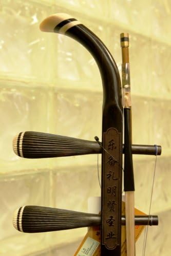 Concert Dunhuang Erhu Chinese 2-string Violin Fiddle Musical Instrument
