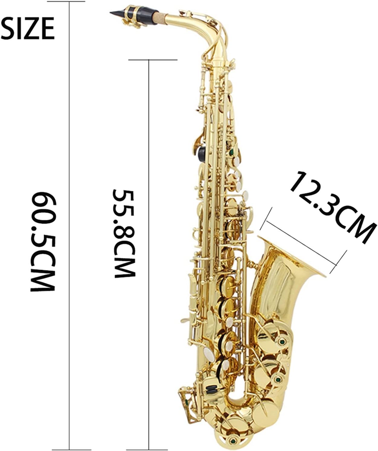 KESHUO EB Alto Saxophone Brass Sax Lacquered Gold Woodwind Instrument with Carry Case Gloves Cleaning Cloth Brush Sax Strap Mute Brass Sax Beginners Kit