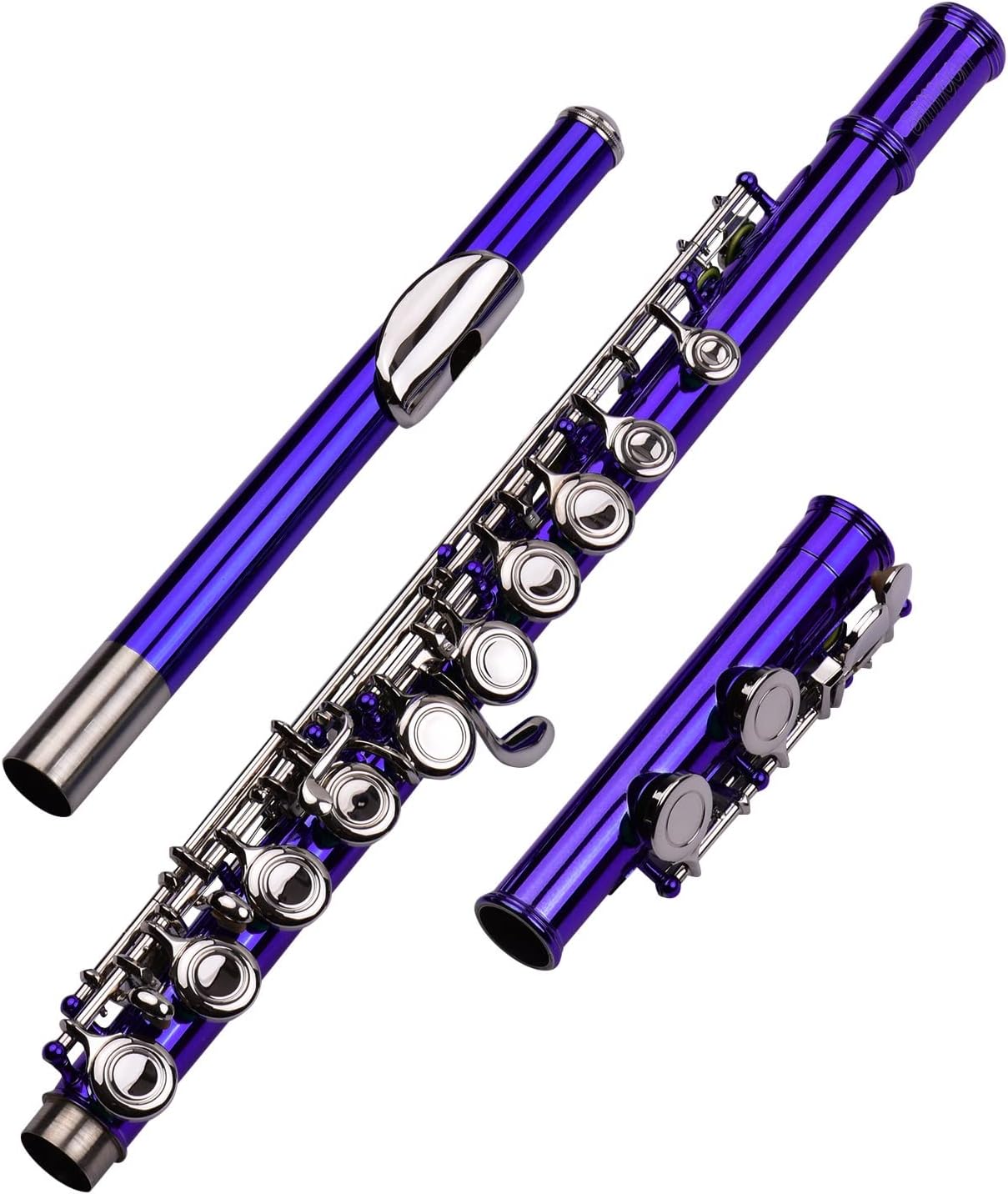 Flute Kit Closed Hole C Flute 16 Keys Cupronickel Nickel-Plated Wind Instrument with Carry Case Flute Stand Gloves Cleaning Cloth Intermediate Flute (Color : Purple)